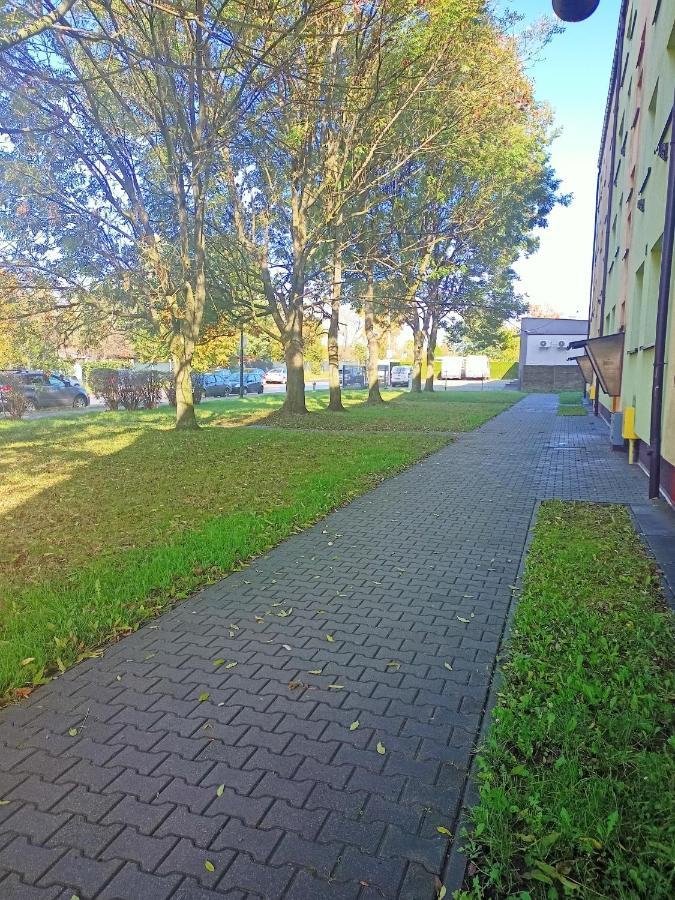 Apartament Zabrze Grzybowska Екстериор снимка